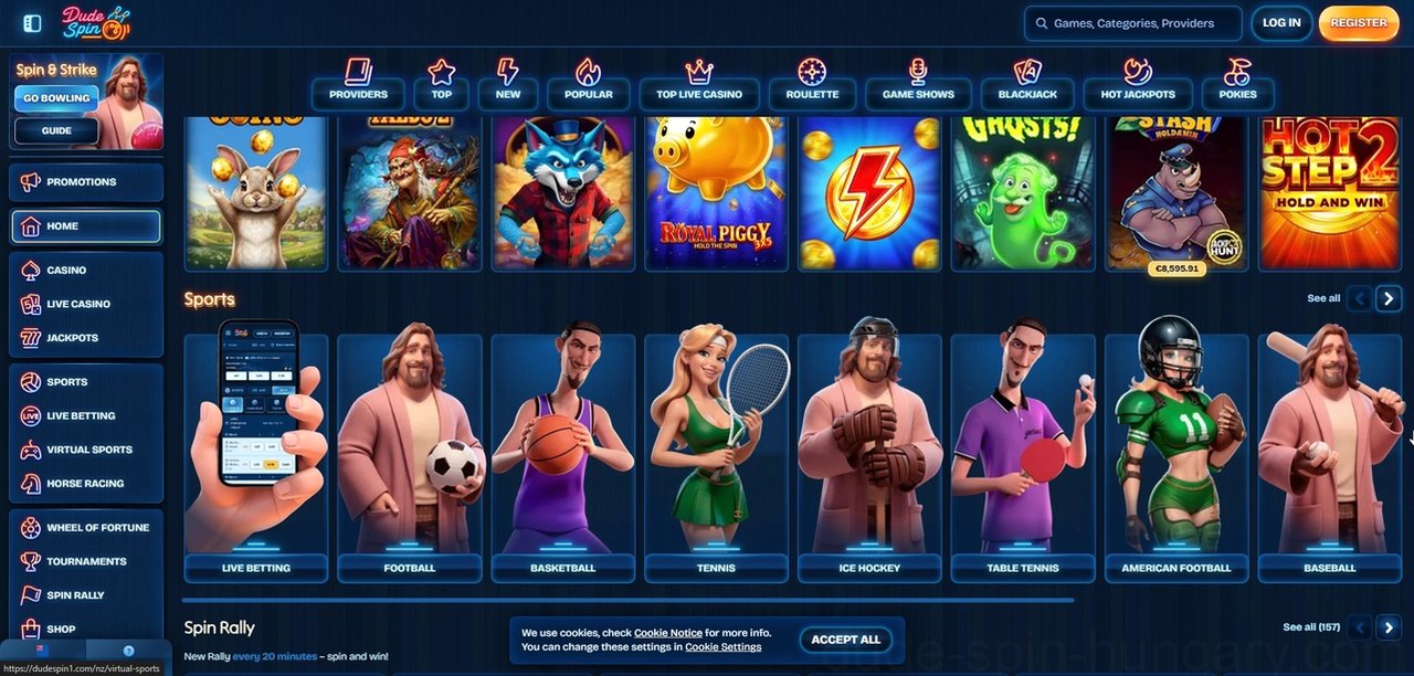 Dudespin Casino Casino