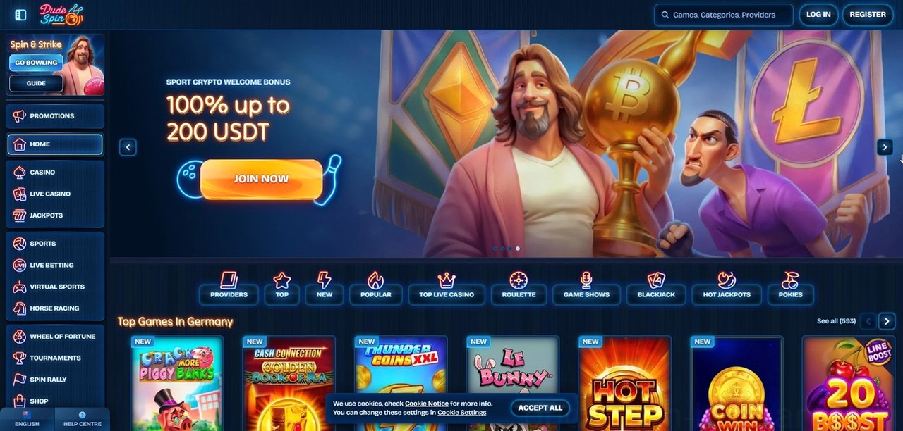 Dudespin Casino Casino